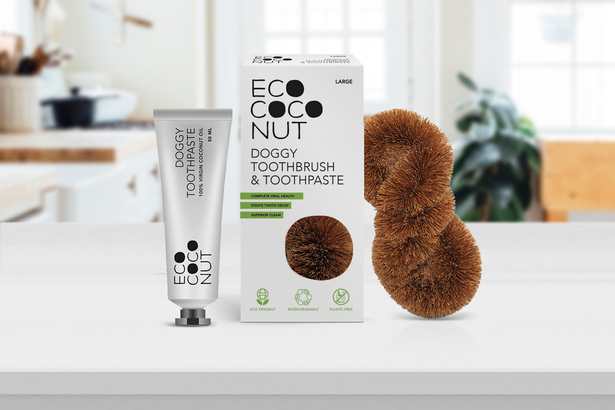 Doggy Toothbrush & Toothpaste EcoCoconut