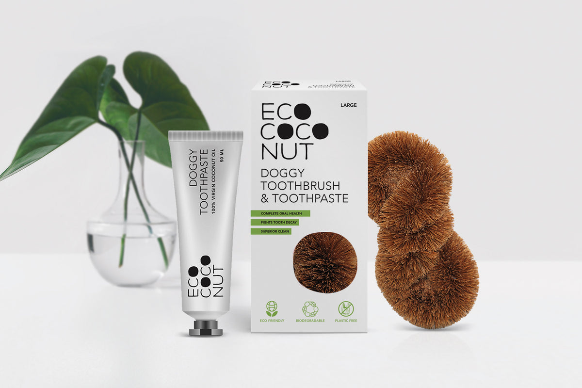 Doggy Toothbrush & Toothpaste EcoCoconut